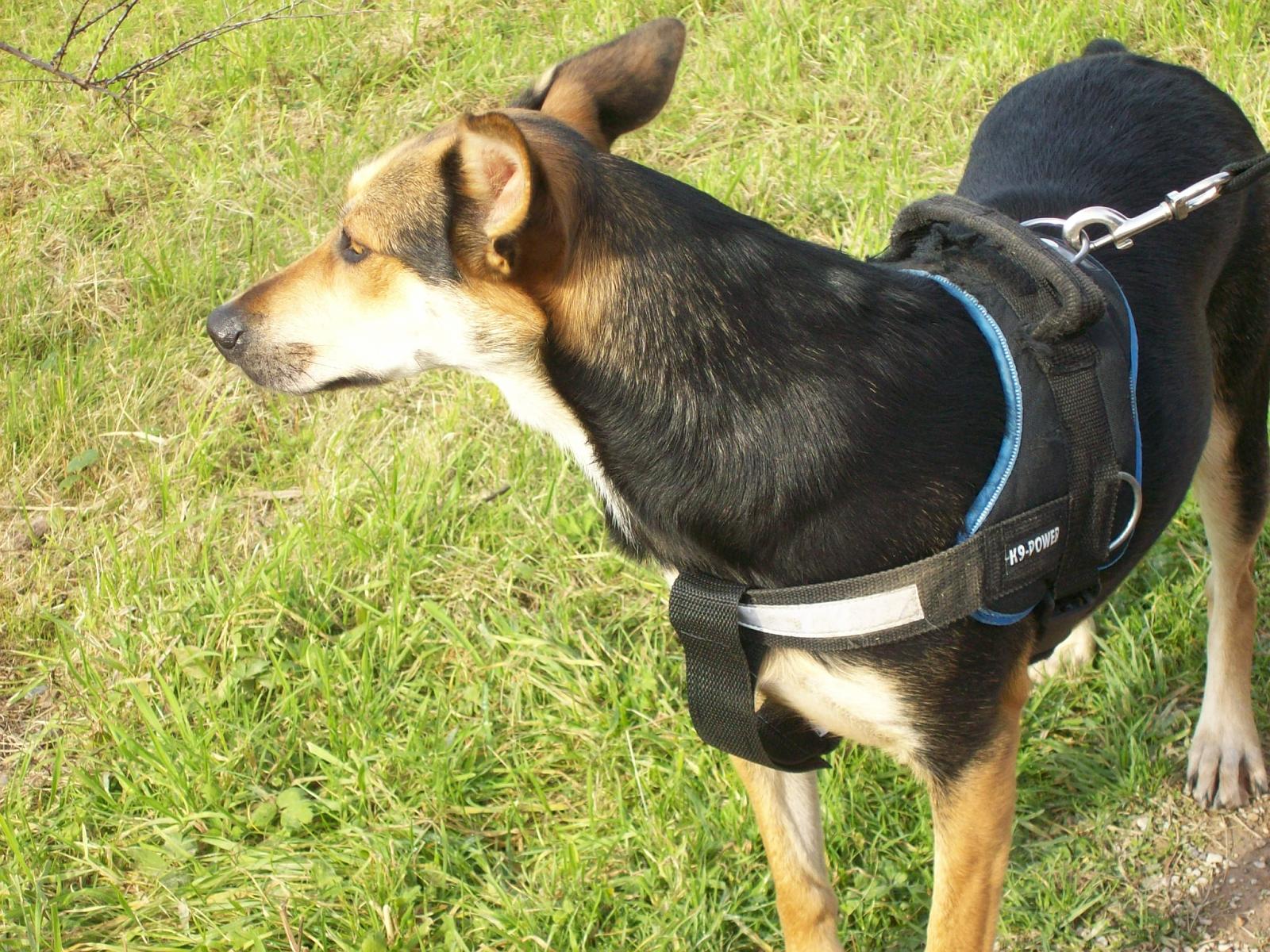 Zoom 18.10.2008-104.jpg